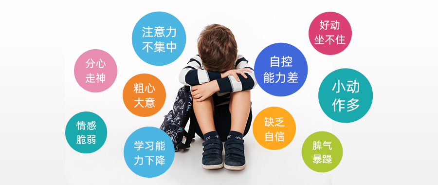 歌美嘉百科库(2).jpg