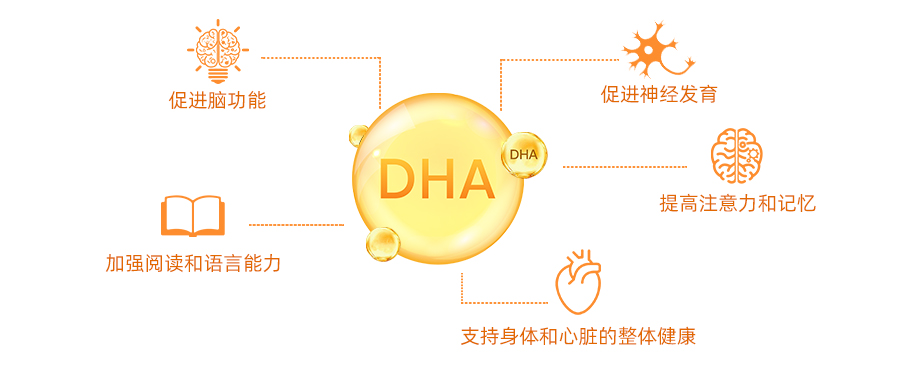 歌美嘉百科库(6).jpg