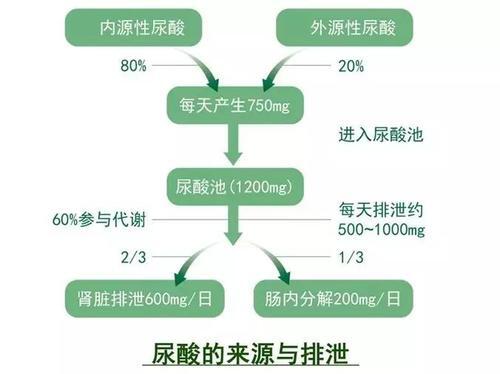 55cab539-6ff0-ed11-8da8-e43d1a103141.png